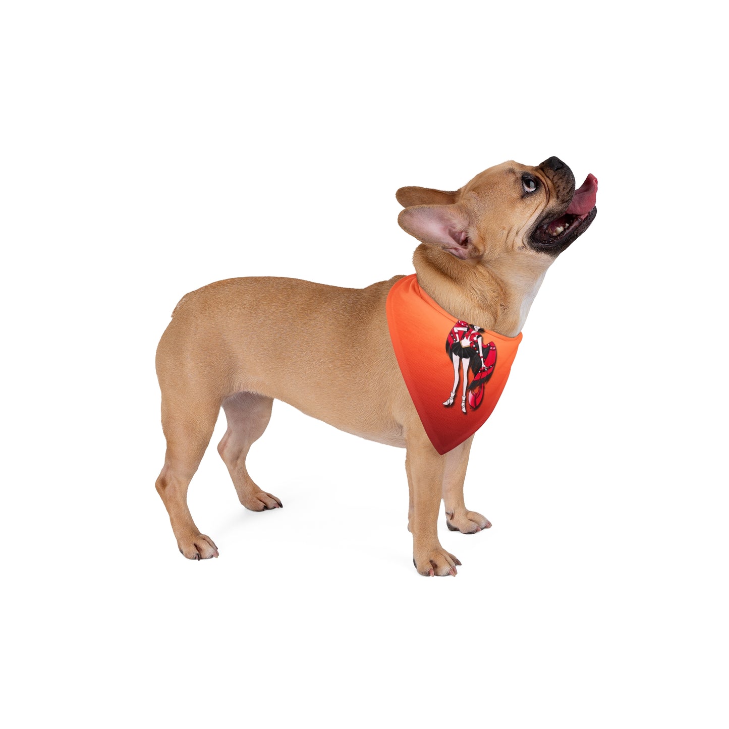 Space Warrior Husk Pet Bandana